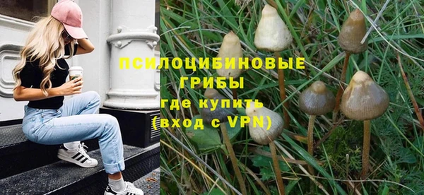 амф Алзамай