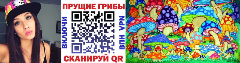 OMG маркетплейс  Тырныауз  Галлюциногенные грибы MAGIC MUSHROOMS  наркотики 